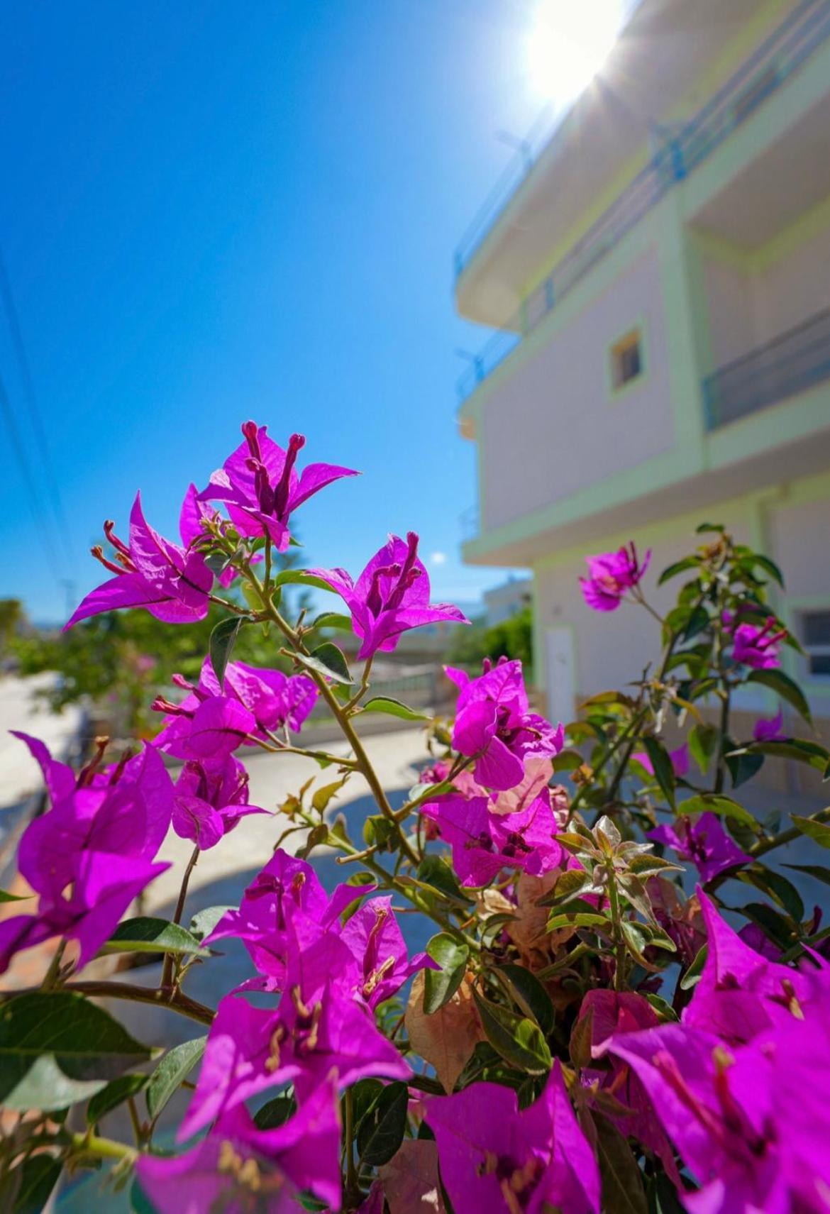Sunflower Hotel Ksamil Dış mekan fotoğraf
