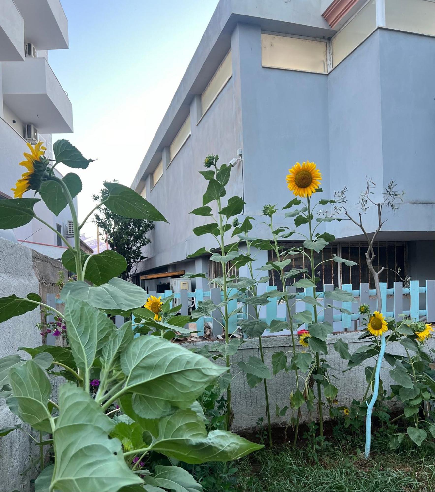 Sunflower Hotel Ksamil Dış mekan fotoğraf